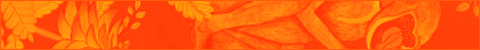 Category